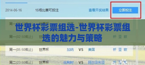 世界杯彩票组选-世界杯彩票组选的魅力与策略