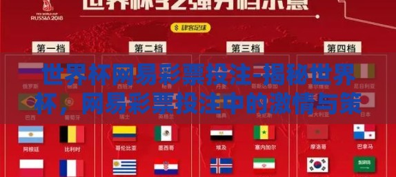 世界杯网易彩票投注-揭秘世界杯，网易彩票投注中的激情与策略