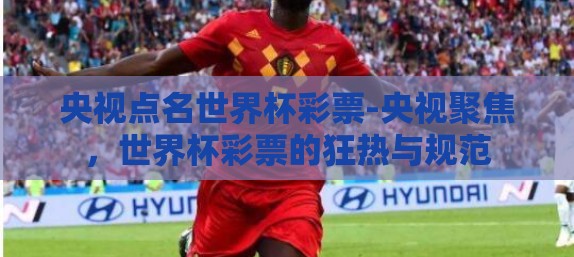 央视点名世界杯彩票-央视聚焦，世界杯彩票的狂热与规范