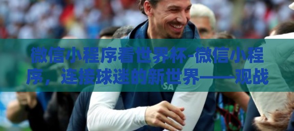 微信小程序看世界杯-微信小程序，连接球迷的新世界——观战世界杯的新视角