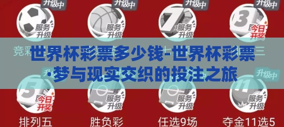 世界杯彩票多少钱-世界杯彩票·梦与现实交织的投注之旅