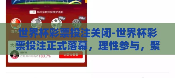 世界杯彩票投注关闭-世界杯彩票投注正式落幕，理性参与，聚焦赛场激情