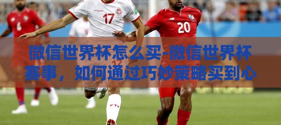 微信世界杯怎么买-微信世界杯赛事，如何通过巧妙策略买到心仪赛事？