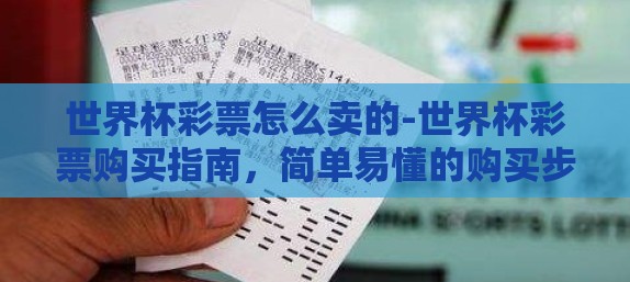 世界杯彩票怎么卖的-世界杯彩票购买指南，简单易懂的购买步骤与注意事项