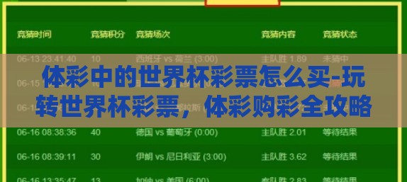 体彩中的世界杯彩票怎么买-玩转世界杯彩票，体彩购彩全攻略