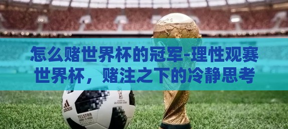 怎么赌世界杯的冠军-理性观赛世界杯，赌注之下的冷静思考