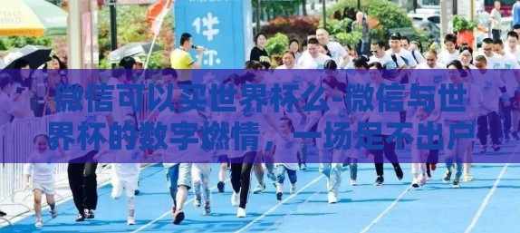 微信可以买世界杯么-微信与世界杯的数字燃情，一场足不出户的观赛新风尚