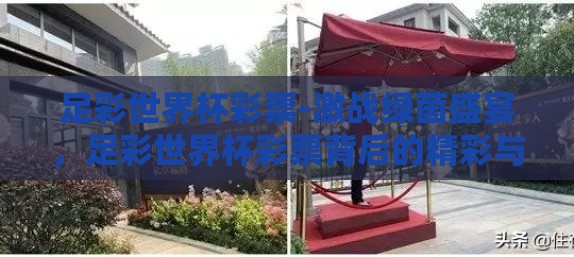 足彩世界杯彩票-激战绿茵盛宴，足彩世界杯彩票背后的精彩与挑战
