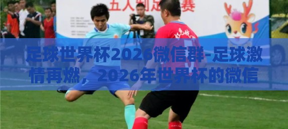 足球世界杯2026微信群-足球激情再燃，2026年世界杯的微信群盛宴