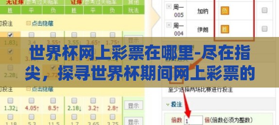 世界杯网上彩票在哪里-尽在指尖，探寻世界杯期间网上彩票的合法与安全渠道