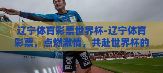 辽宁体育彩票世界杯-辽宁体育彩票，点燃激情，共赴世界杯的狂欢盛宴