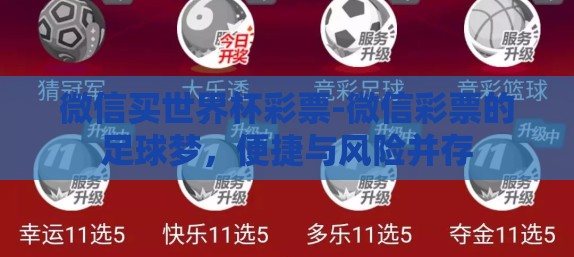 微信买世界杯彩票-微信彩票的足球梦，便捷与风险并存