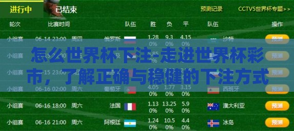 怎么世界杯下注-走进世界杯彩市，了解正确与稳健的下注方式