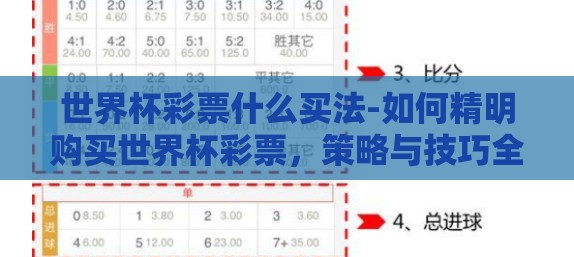 世界杯彩票什么买法-如何精明购买世界杯彩票，策略与技巧全面解析
