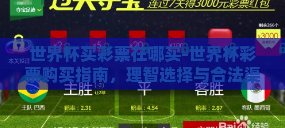 世界杯买彩票在哪买-世界杯彩票购买指南，理智选择与合法渠道