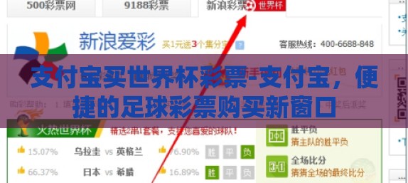 支付宝买世界杯彩票-支付宝，便捷的足球彩票购买新窗口