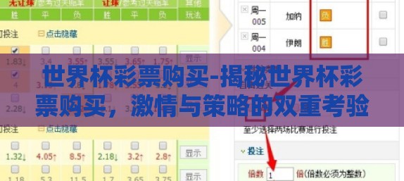 世界杯彩票购买-揭秘世界杯彩票购买，激情与策略的双重考验