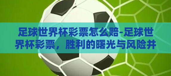 足球世界杯彩票怎么赔-足球世界杯彩票，胜利的曙光与风险并存