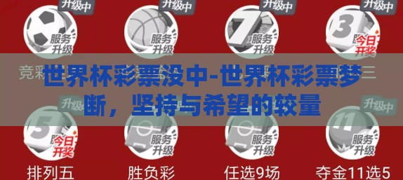 世界杯彩票没中-世界杯彩票梦断，坚持与希望的较量