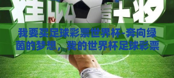 我要买足球彩票世界杯-奔向绿茵的梦想，我的世界杯足球彩票之旅