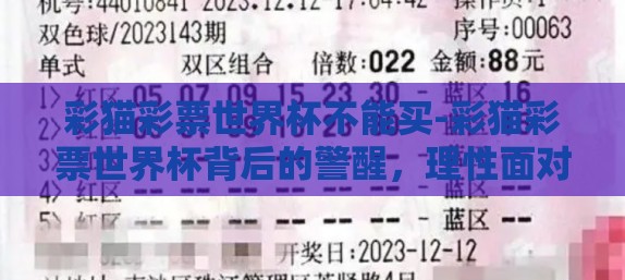彩猫彩票世界杯不能买-彩猫彩票世界杯背后的警醒，理性面对，明智选择