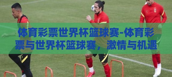 体育彩票世界杯篮球赛-体育彩票与世界杯篮球赛，激情与机遇的碰撞
